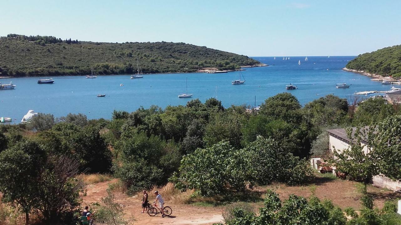 Apartman Lana Banjole Buitenkant foto